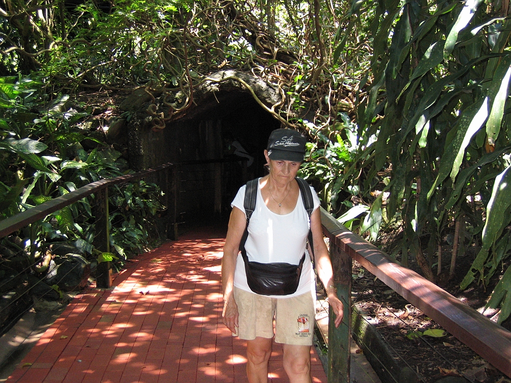 CairnsTC276 Wildlife Habitat.jpg